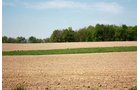 Property photo 7 - REAL ESTATE AUCTION - 126+/- ACRES OFFERED IN 4 TRACTS IN GREENE COUNTY, INDIANA